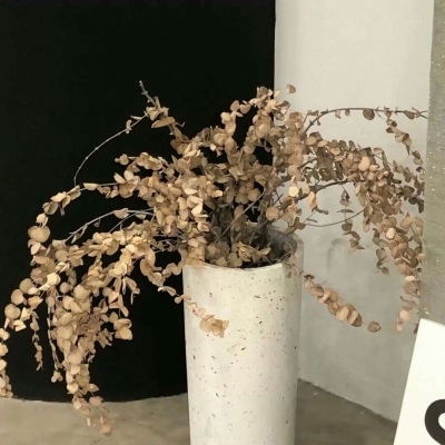 茂县福瑞交流群